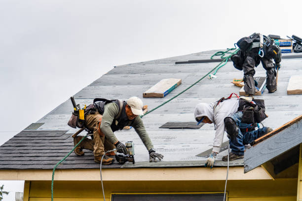 Professional Roofing technician working in Clute, TX
